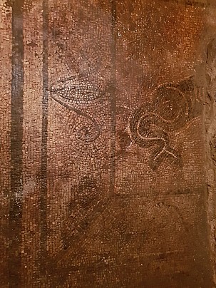 Immagine WhatsApp 2025-08-14 ore 14.31.34_ee4c0826