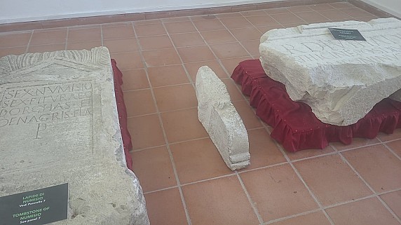 Immagine WhatsApp 2025-08-14 ore 14.31.36_79143d48