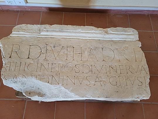 Immagine WhatsApp 2025-08-14 ore 14.31.36_2dfc8fad