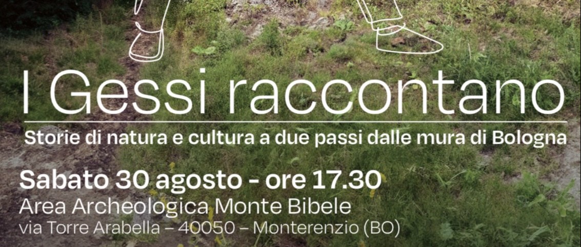 Immagine principale