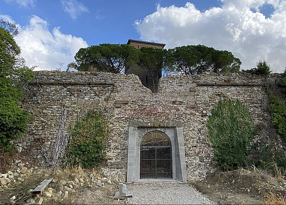 Immagine non trovata