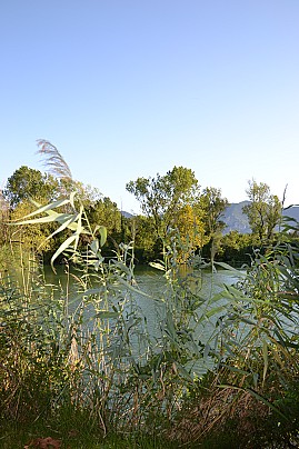 Veg_6