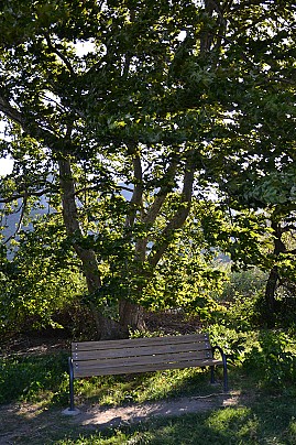Veg_14