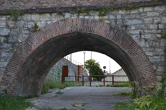 DSC_0050