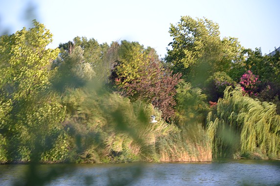 DSC_0101