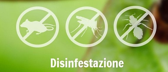 Immagine principale