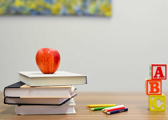 LIBRI DI TESTO SCUOLA PRIMARIA A.S. 2025/2026