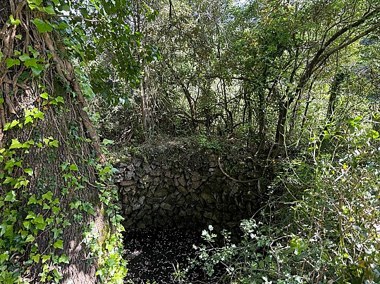 ANTICA CISTERNA 2