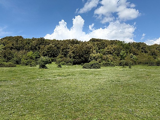 PRATO 2