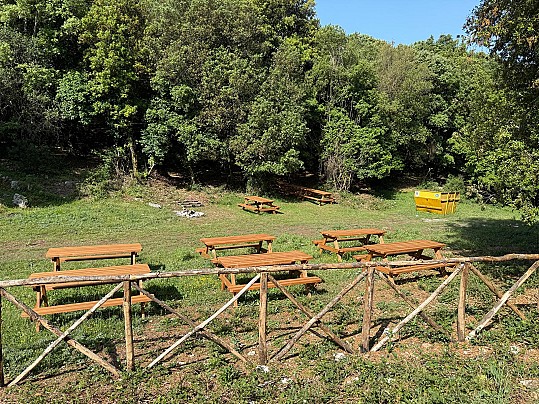 AREA PICNIC 3