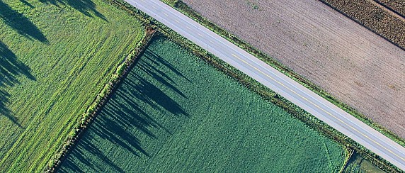 Ordinanza per la manutenzione di fossi, canali di scolo, alberature, siepi, scarpate, ripe stradali, cura dei terreni e pulizia dei marciapiedi