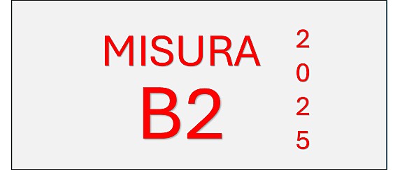 Fondo non autosufficienze - Misura B2