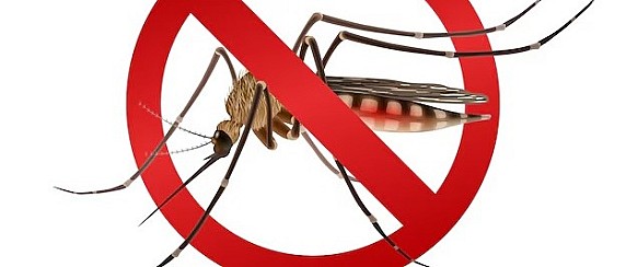 Calendario Disinfestazione zanzara e zanzara tigre nel territorio di Borgo Mantovano - Aggiornamento date