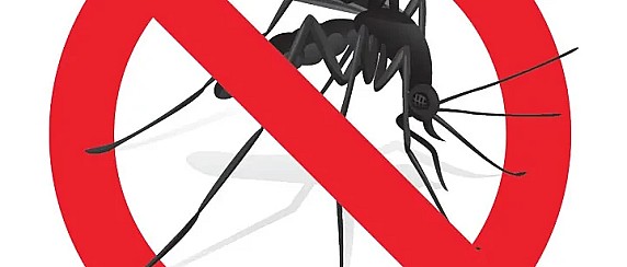 DISINFESTAZIONE CONTRO INSETTI ALATI