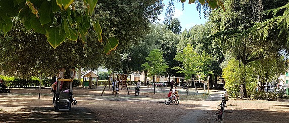 image_thumb