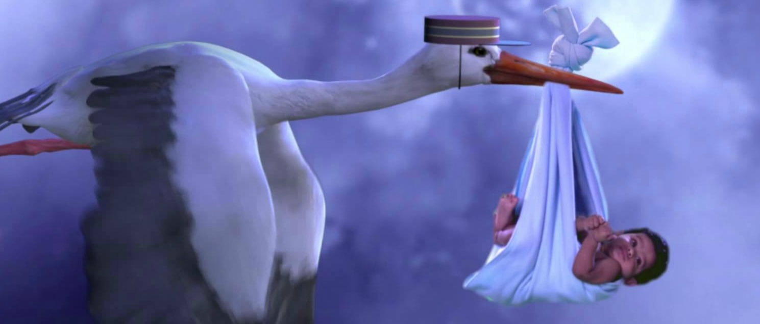 Immagine principale