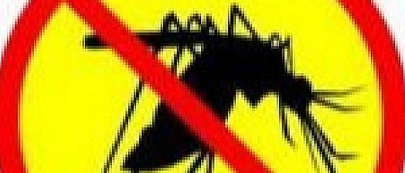 Anticipazione dezanzarizzazione territorio comunale