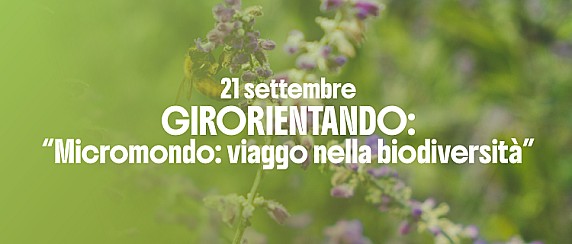 Immagine non trovata