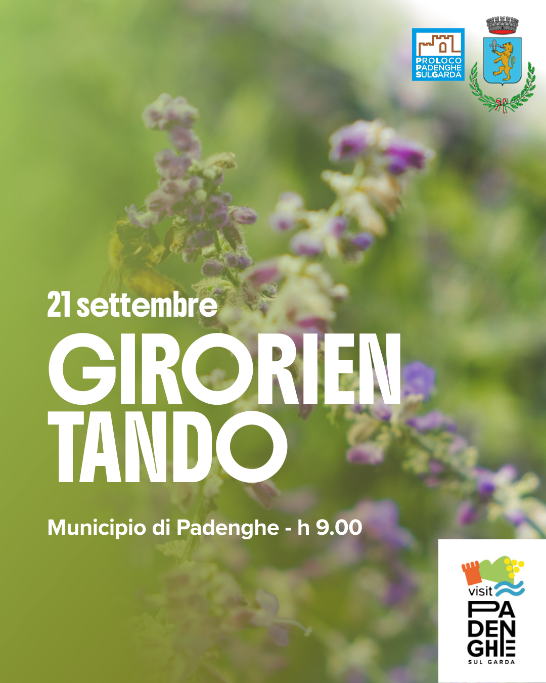 GIR 21 09 SOCIAL