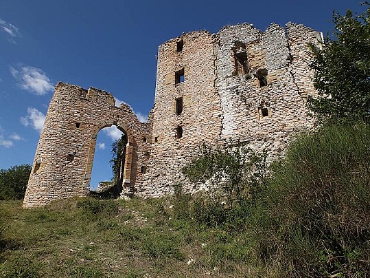 pecorai-03