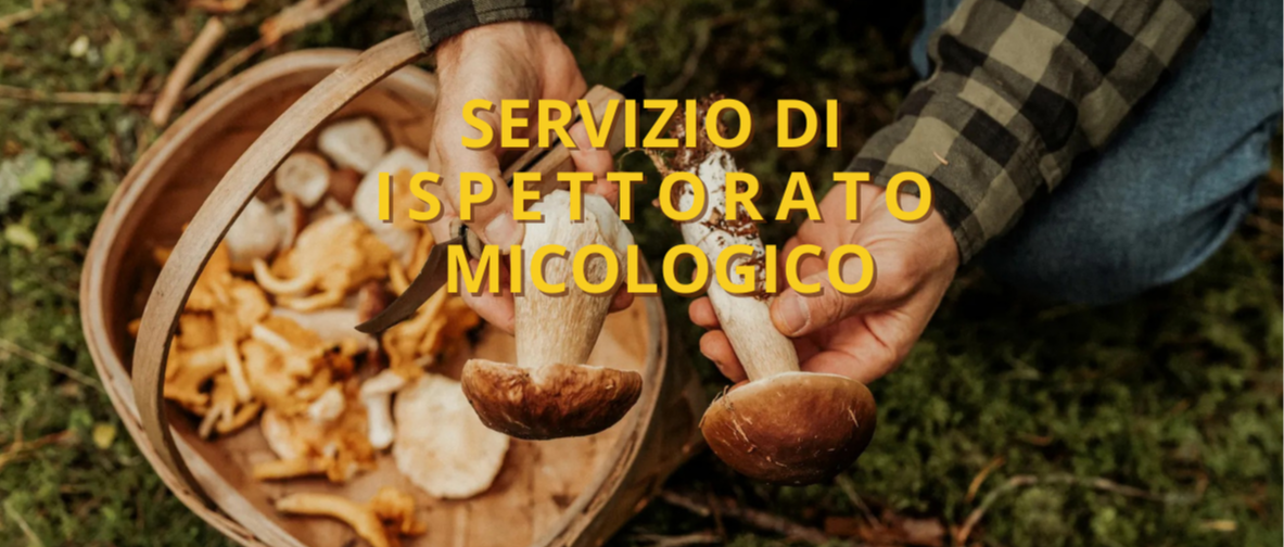 Immagine principale