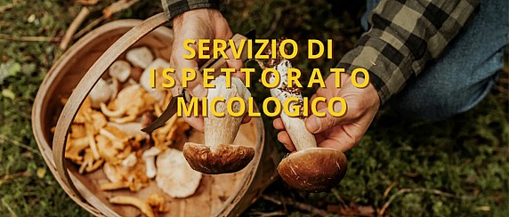 Servizio di ispettorato micologico 2025