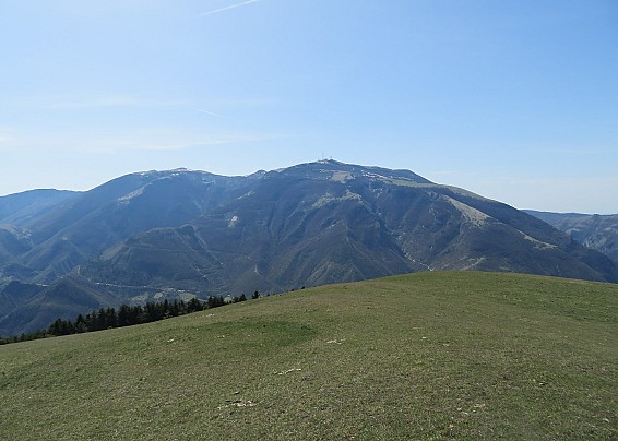 Immagine non trovata
