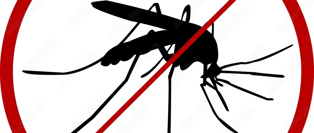 Intervento straordinario di disinfestazione zanzare adulticida sul territorio comunale