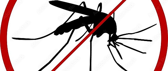Intervento straordinario di disinfestazione zanzare adulticida sul territorio comunale