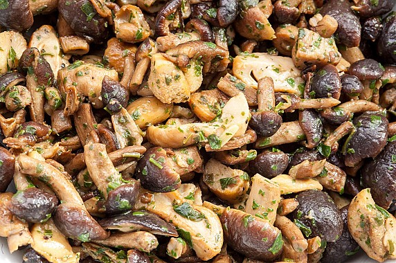 Funghi-trifolati
