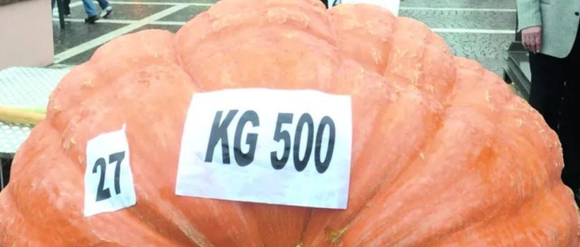 Festa della Zucca 2025