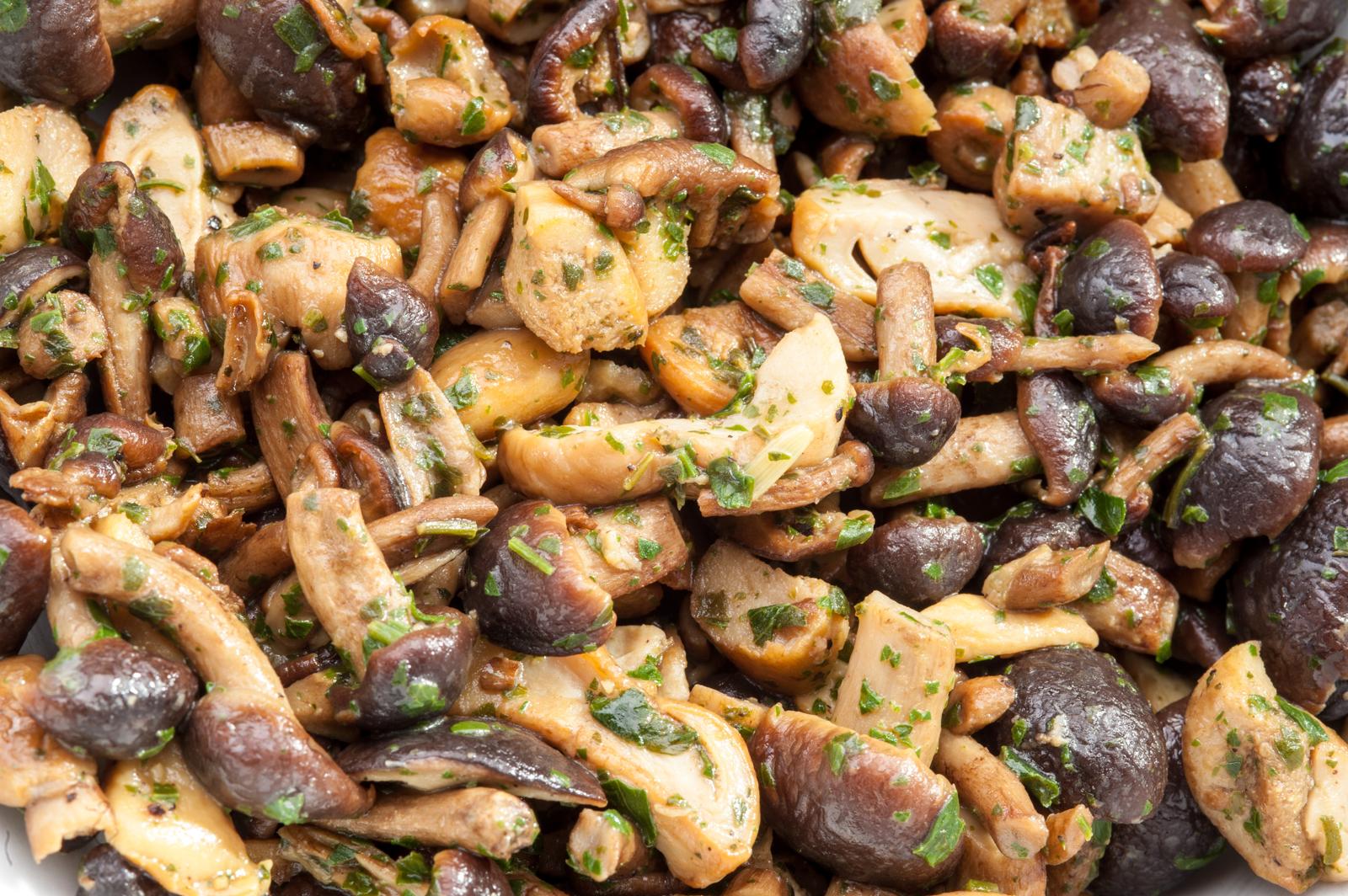 Funghi-trifolati