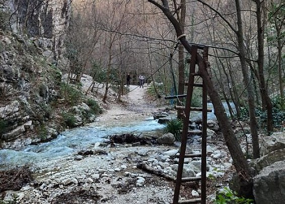 Immagine non trovata