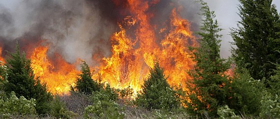 Rischio incendi, prorogato fino al 21 settembre il divieto di abbruciamento