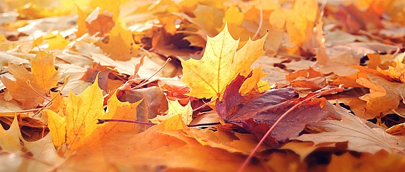 Appuntamenti di settembre