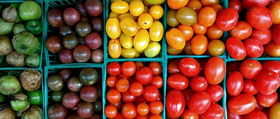 Mercato Agricolo