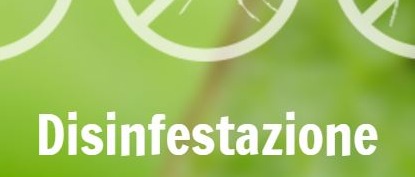 Immagine principale