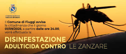 Immagine principale