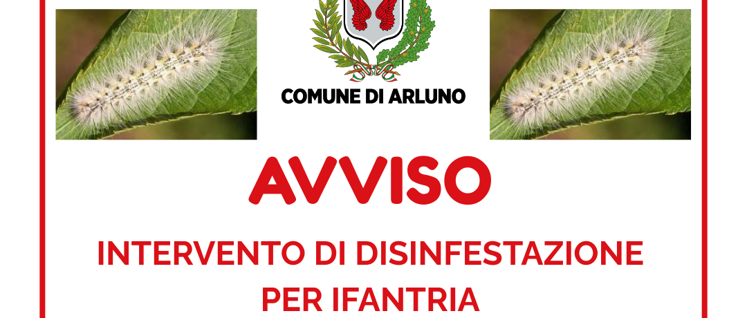 Immagine principale