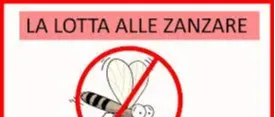 Immagine principale
