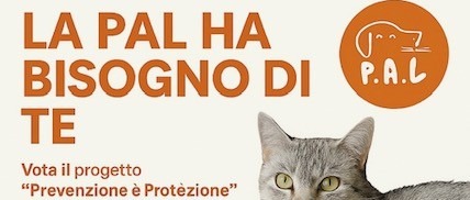 Immagine principale