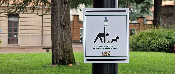 image_thumb