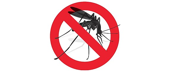Intervento di disinfestazione zanzare
