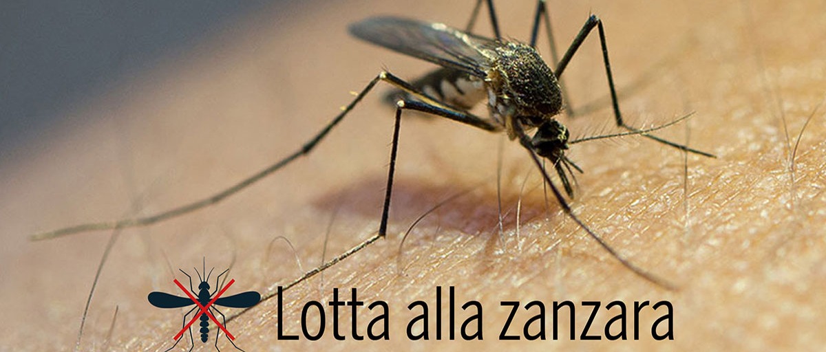 LOTTA ALLE ZANZARE