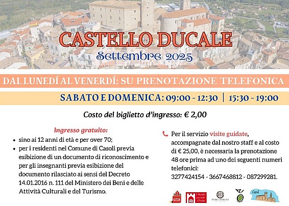 Immagine non trovata