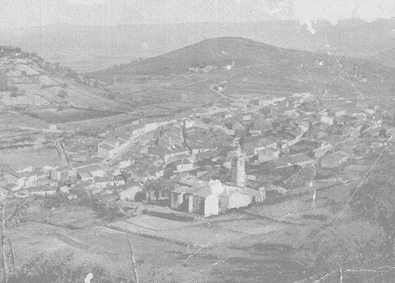 Immagine non trovata