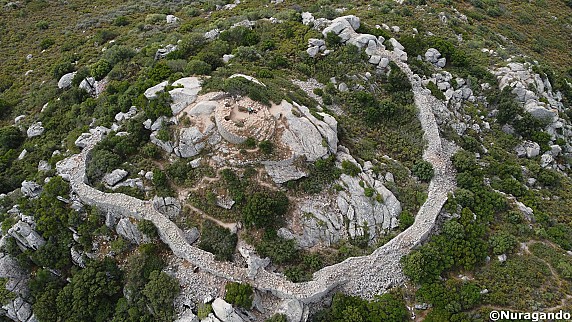 201464890_1226708107791175_8268986904636871833_n