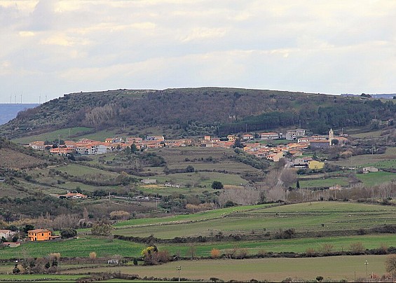 Immagine non trovata