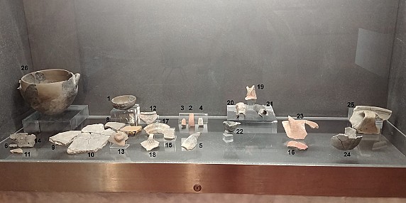 vetrina-7-con-reperti-numerati-scaled