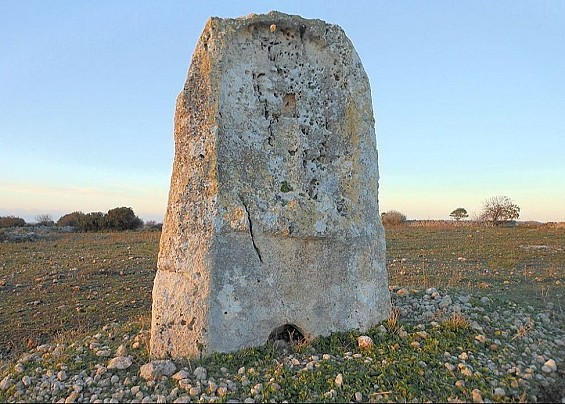 Immagine non trovata